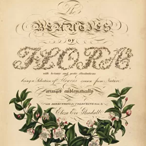 Calligraphic title page with vignette