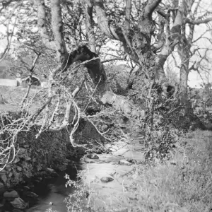 Caman Brook, St Davids, South Wales