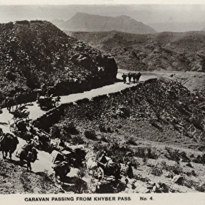 Camel Caravan passing from the Khyber Pass