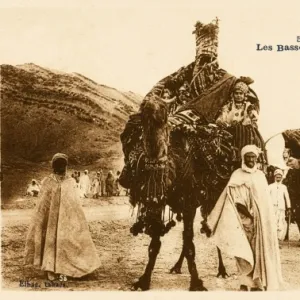 A camel palanquin (covered litter)