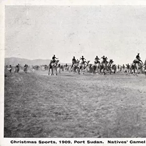Camel Racing - Port Sudan, Sudan - Christmas Sports