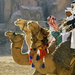 Three camel riders, Jordan
