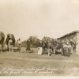 Camel train at Cannakale, Turkey - Chanak Crisis