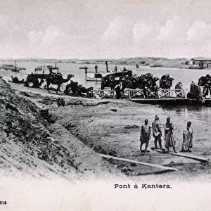 Camel train on a chain ferry at Kantara, Egypt