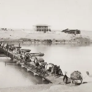 Camel train crossing a pontoon bridge River Nile, Egypt