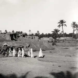 Camel train at the ruins of old Biskra, Algeria