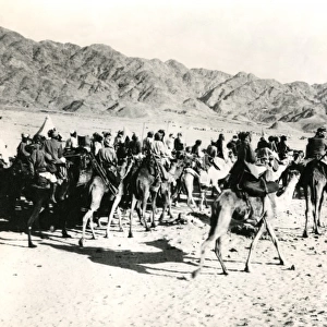 Camels and riders, Mesopotamia, WW1