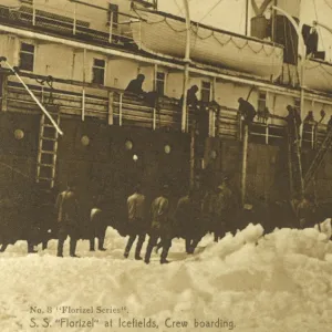 Canada - Newfoundland -ss Florizel at Icefields