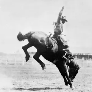 Canadian Rodeo