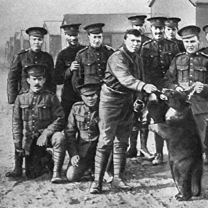 Canadians in camp at Salisbury Plain with bear mascot