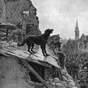 Canine Devotion in War Time, WW1 dog guarding home