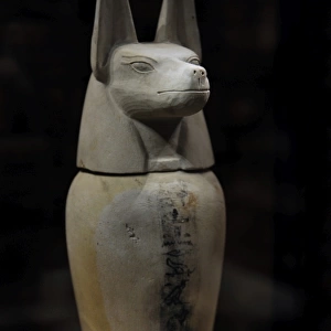 Canopic jar with lid in the form of a jackal: Duamutef. Egyp