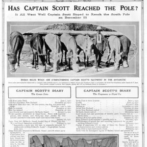 Has Captain Scott reached the Pole?