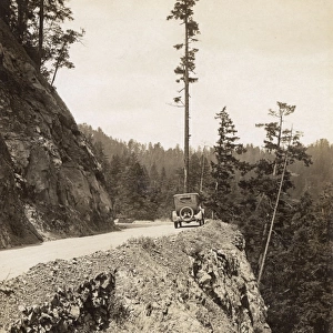 Car on the Redwood Highway, Humboldt County, California, USA