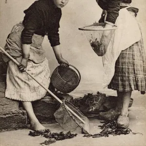 Carantec, Brittany, France, Crevette fishergirls