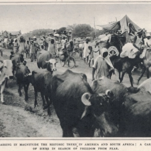 Caravan of Sikh refugees - India 1947