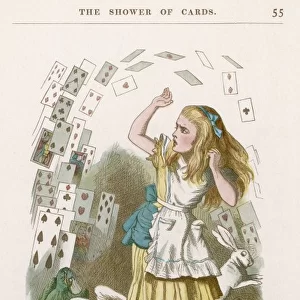 Caroll / Alice & Cards