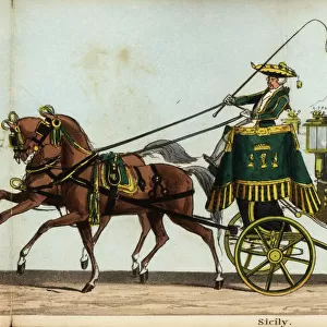 Carriage of Count Ludolf, Sicilian ambassador, in
