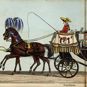 Carriage of the Marquis of Brignole in Queen Victoria s