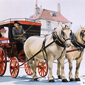 Carriage pulled by two white shire horses
