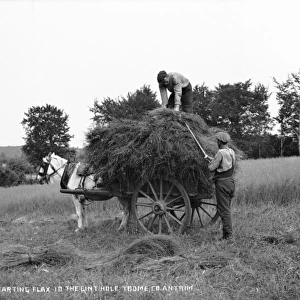 Carting Flax to the Linthole, Toome, Co. Antrim