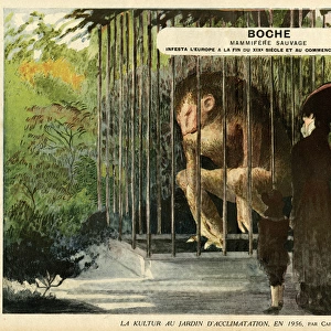 Cartoon, Boche, Wild Mammal, WW1