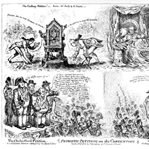 Cartoon, Patriotic Petitions on the Convention