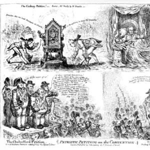 Cartoon, Patriotic Petitions on the Convention