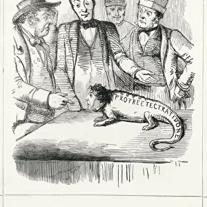 Cartoon, The Political Chameleon