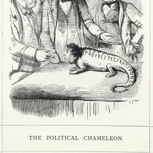 Cartoon, The Political Chameleon