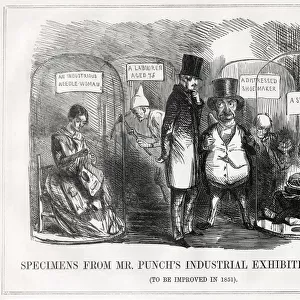Cartoon, Specimens from Mr Punchs Industrial Exhibition