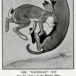 Cartoon, The Waterloo Cup, WW1