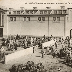 Casablanca, Morocco - New Abattoir