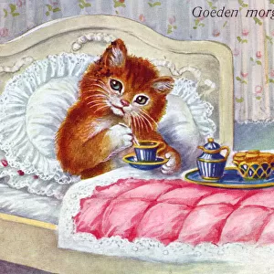 Cat in bed on a Dutch greetings postcard