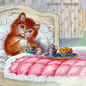 Cat in bed on a Dutch greetings postcard