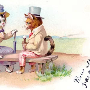 Cat couple on a bench on a postcard