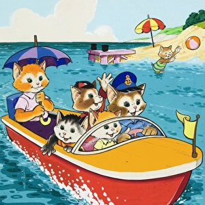Cat family in motorboat
