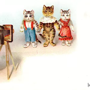 Cat photographer and clients on a French postcard