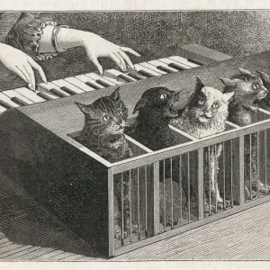 CAT PIANO