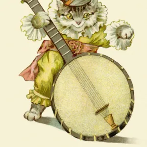 Cat playing a banjo