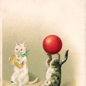 Cat playing cymbals with cat and ball on a postcard