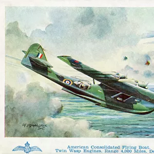Catalina Flying Boat Catalina Flying Boat