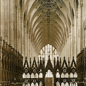 The Cathedral, Winchester, Hampshire