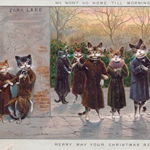Cats enjoying an evening out on a Christmas card