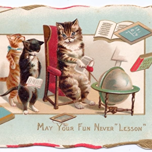 Three cats with globe on a greetings card