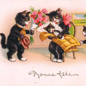 Cats and kittens on a French birthday postcard
