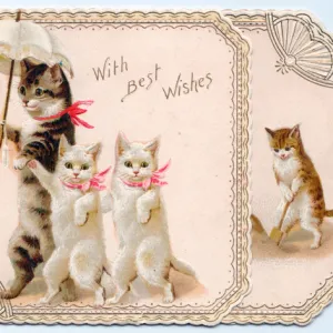 Four cats with parasol on a greetings card