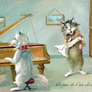 Cats playing the piano and singing on a New Year postcard