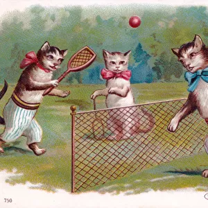 Cats playing tennis on a postcard