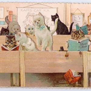 Cats in a schoolroom on a greetings card